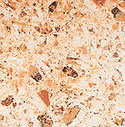 tiles